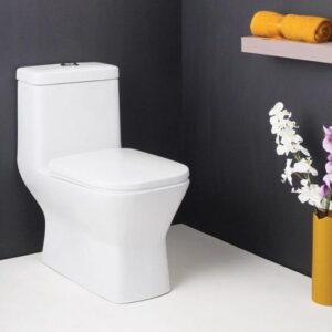 Toilet Seat - Water Closet Hindware